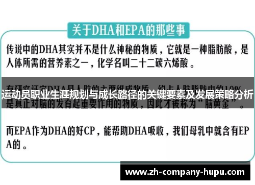 运动员职业生涯规划与成长路径的关键要素及发展策略分析